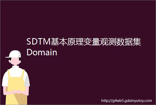 SDTM基本原理变量观测数据集Domain